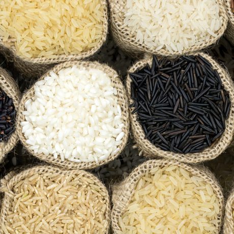 La cultura del arroz